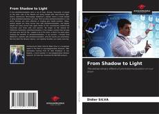 Portada del libro de From Shadow to Light