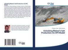 Unlocking Malawi’s Salt Production: An SPV Model kitap kapağı