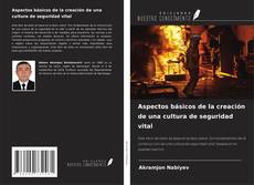 Buchcover von Aspectos básicos de la creación de una cultura de seguridad vital