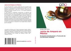 Copertina di Juicio de Amparo en México