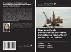 Couverture de Degradación de hidrocarburos derivados del petróleo mediante un consorcio bacteriano
