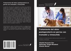 Copertina di Tratamiento del dolor postoperatorio en perros con tramadol y nimesulida