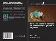 Encuesta sobre la pobreza en determinados grupos y regiones kitap kapağı
