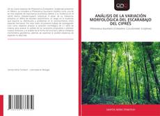 Copertina di ANÁLISIS DE LA VARIACIÓN MORFOLÓGICA DEL ESCARABAJO DEL CIPRÉS