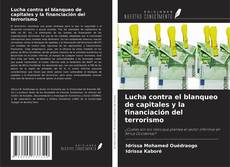 Couverture de Lucha contra el blanqueo de capitales y la financiación del terrorismo
