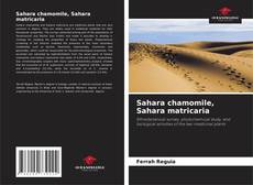 Couverture de Sahara chamomile, Sahara matricaria