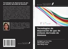 Tecnologías de depuración de gas de síntesis derivado de biomasa kitap kapağı
