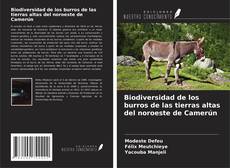 Buchcover von Biodiversidad de los burros de las tierras altas del noroeste de Camerún