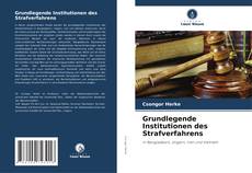 Capa do livro de Grundlegende Institutionen des Strafverfahrens 