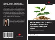 Bookcover of Industrial economic analysis in North Rhine-Westphalia: comprehensive start-up support