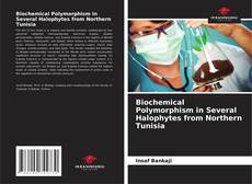 Borítókép a  Biochemical Polymorphism in Several Halophytes from Northern Tunisia - hoz