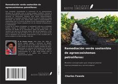 Обложка Remediación verde sostenible de agroecosistemas petrolíferos: