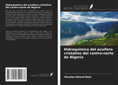 Buchcover von Hidroquímica del acuífero cristalino del centro-norte de Nigeria