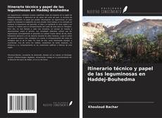 Copertina di Itinerario técnico y papel de las leguminosas en Haddej-Bouhedma
