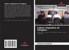 Bookcover of Labour migration of refugees