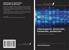 Copertina di Ciberespacio: desarrollo, formación, protección