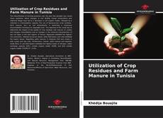 Bookcover of Utilization of Crop Residues and Farm Manure in Tunisia