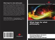 Bookcover of What hope for what philosophy