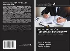 Buchcover von REORGANIZACIÓN JUDICIAL EN PERSPECTIVA