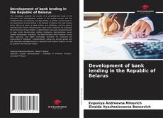 Development of bank lending in the Republic of Belarus的封面