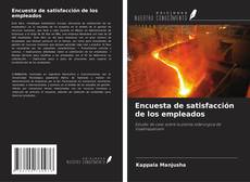 Copertina di Encuesta de satisfacción de los empleados