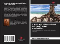 Capa do livro de Relational database and Microsoft Excel application 