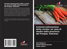 Capa do livro de Commercializzazione della carota: un caso di studio nella provincia del Punjab, Pakistan 