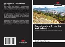 Copertina di Sociolinguistic Dynamics and Urbanity