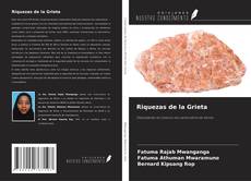 Couverture de Riquezas de la Grieta