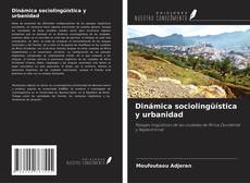 Buchcover von Dinámica sociolingüística y urbanidad