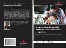 Bookcover of Organisational Citizenship Behaviour in an intercultural comparison