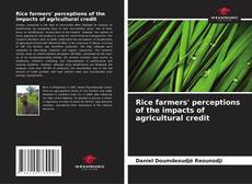 Bookcover of Rice farmers' perceptions of the impacts of agricultural credit