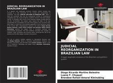 Bookcover of JUDICIAL REORGANIZATION IN BRAZILIAN LAW