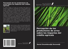 Copertina di Percepción de los productores de arroz sobre los impactos del crédito agrícola