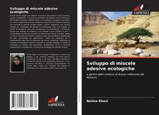 Buchcover von Sviluppo di miscele adesive ecologiche