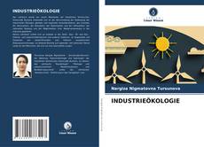 Couverture de INDUSTRIEÖKOLOGIE