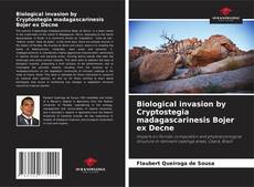 Borítókép a  Biological invasion by Cryptostegia madagascarinesis Bojer ex Decne - hoz