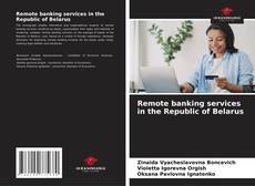 Remote banking services in the Republic of Belarus的封面