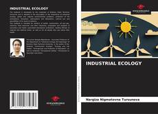 Bookcover of INDUSTRIAL ECOLOGY