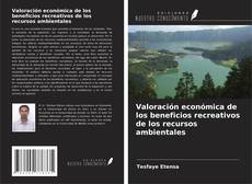 Buchcover von Valoración económica de los beneficios recreativos de los recursos ambientales