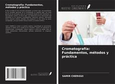 Couverture de Cromatografía: Fundamentos, métodos y práctica