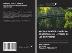 Buchcover von NOCIONES BÁSICAS SOBRE LA CONTAMINACIÓN METÁLICA DE LOS SEDIMENTOS