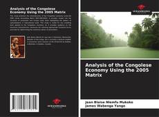 Bookcover of Analysis of the Congolese Economy Using the 2005 Matrix