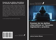 Copertina di Examen de los delitos cibernéticos en Tanzania: legislación y práctica