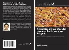 Buchcover von Reducción de las pérdidas poscosecha de maíz en Etiopía