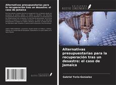 Buchcover von Alternativas presupuestarias para la recuperación tras un desastre: el caso de Jamaica
