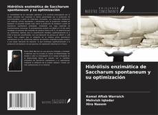 Couverture de Hidrólisis enzimática de Saccharum spontaneum y su optimización