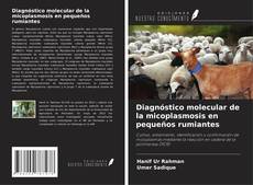Buchcover von Diagnóstico molecular de la micoplasmosis en pequeños rumiantes