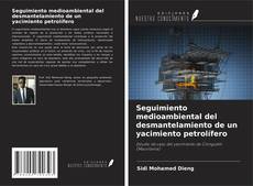 Copertina di Seguimiento medioambiental del desmantelamiento de un yacimiento petrolífero