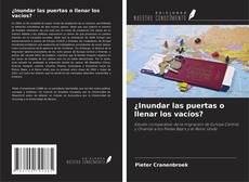 Buchcover von ¿Inundar las puertas o llenar los vacíos?